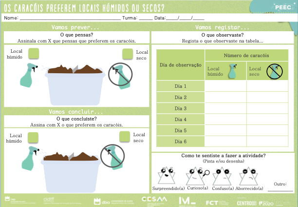 imagem das cartas e caixas da atividade