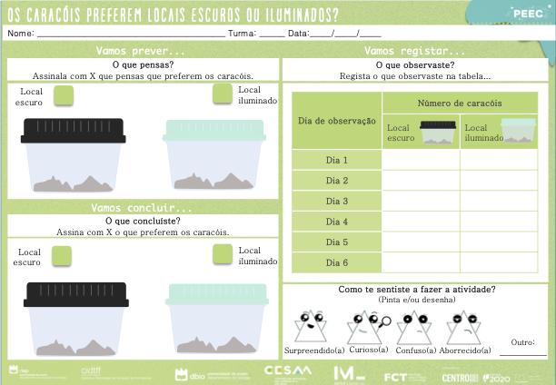 imagem das cartas e caixas da atividade