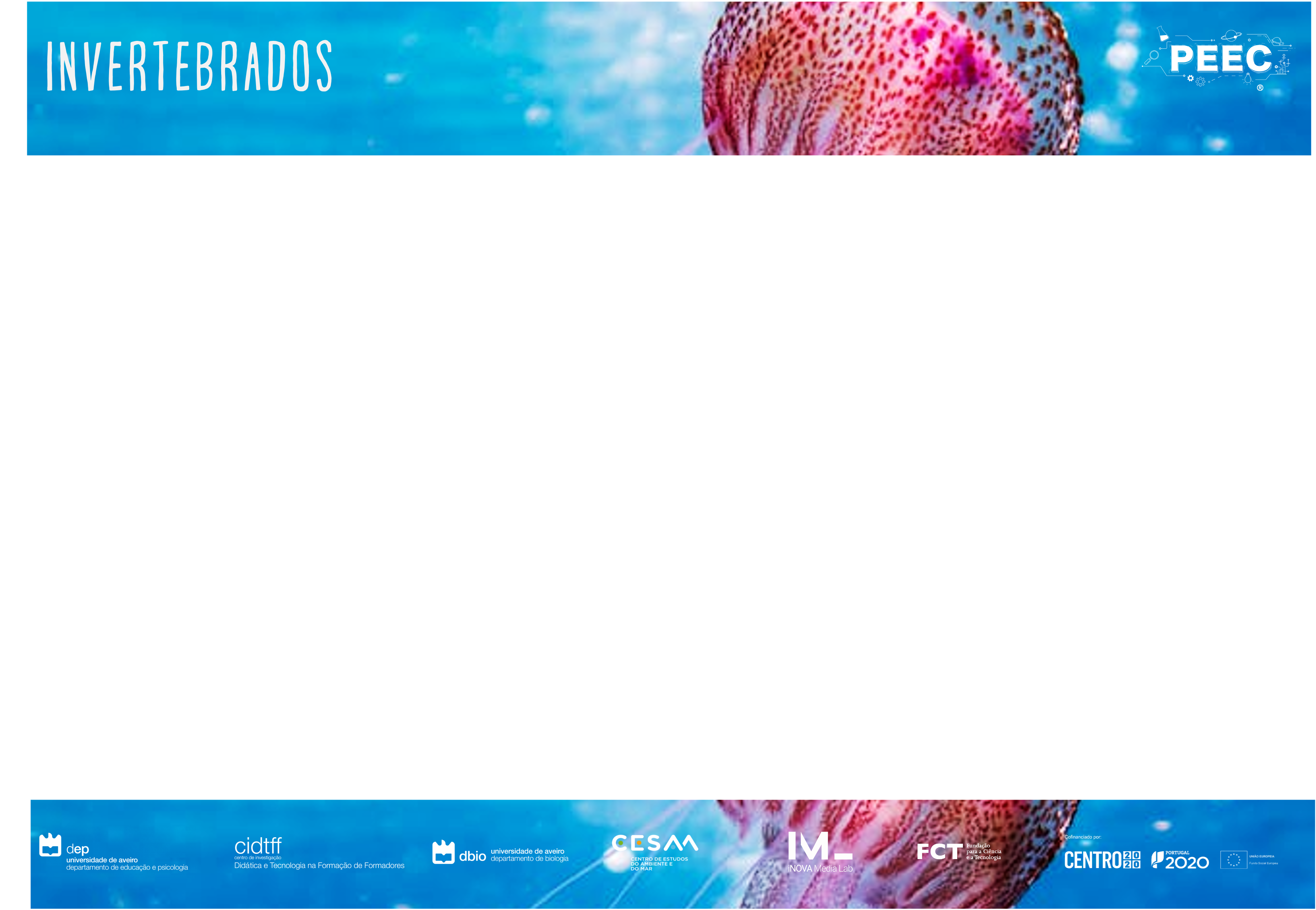 imagem das bases da atividade