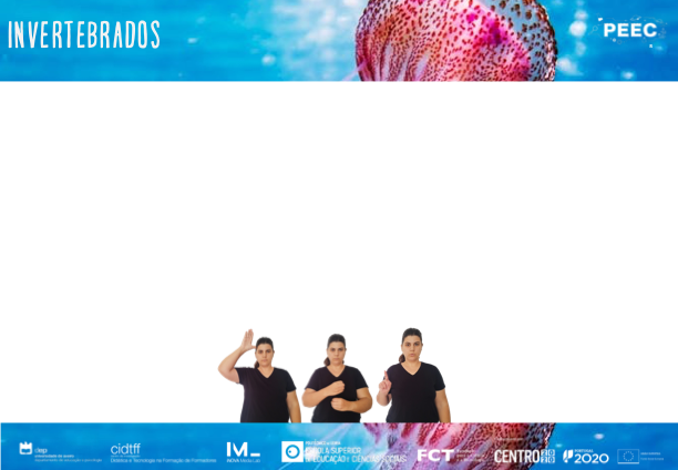 imagem das bases da atividade