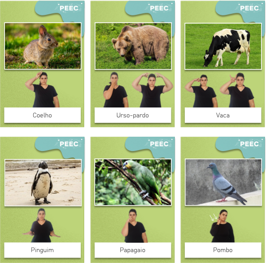 imagem das bases da atividade