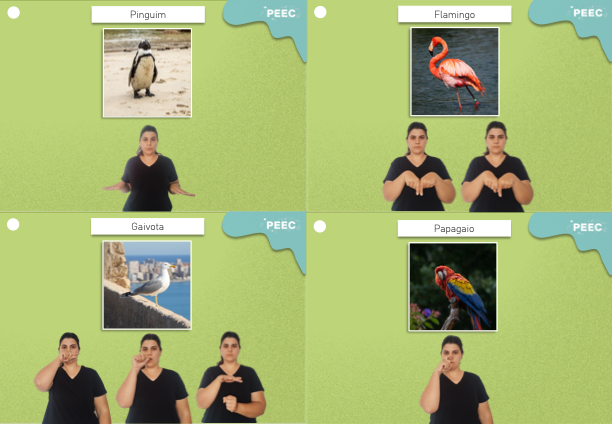 imagem das bases da atividade