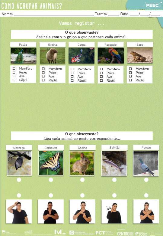 imagem das cartas e caixas da atividade