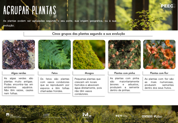 imagem das bases da atividade