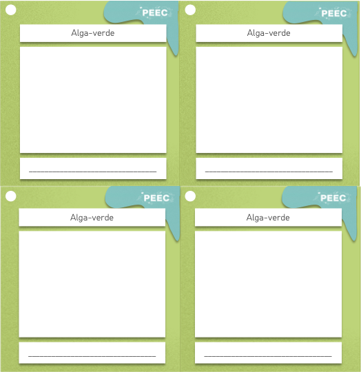 imagem das cartas e caixas da atividade