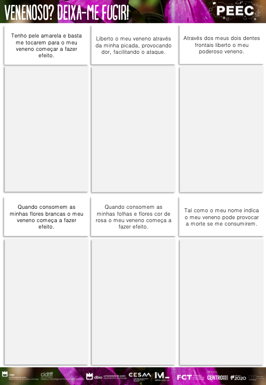 imagem das bases da atividade