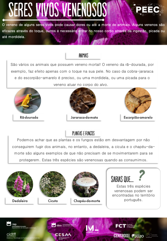 imagem das bases da atividade