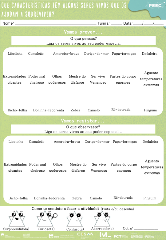 imagem das cartas e caixas da atividade