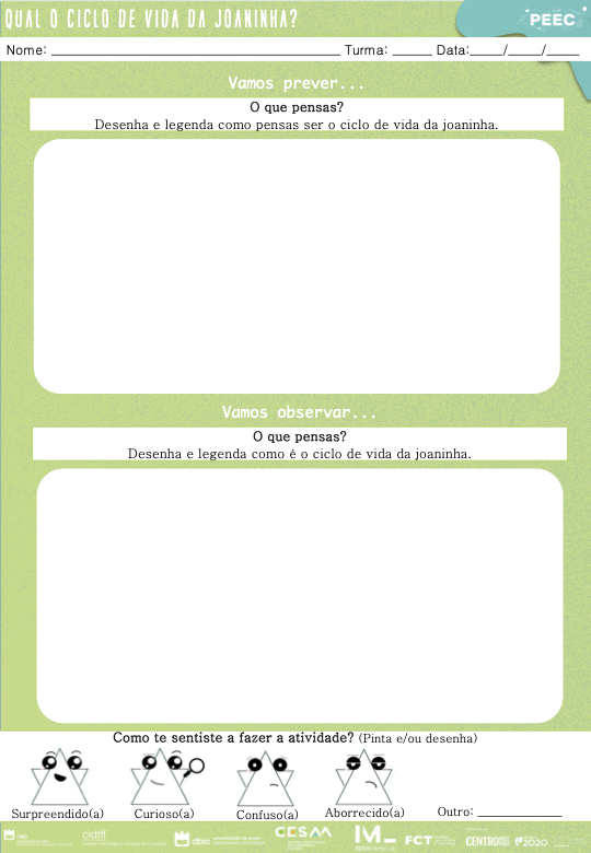 imagem das cartas e caixas da atividade