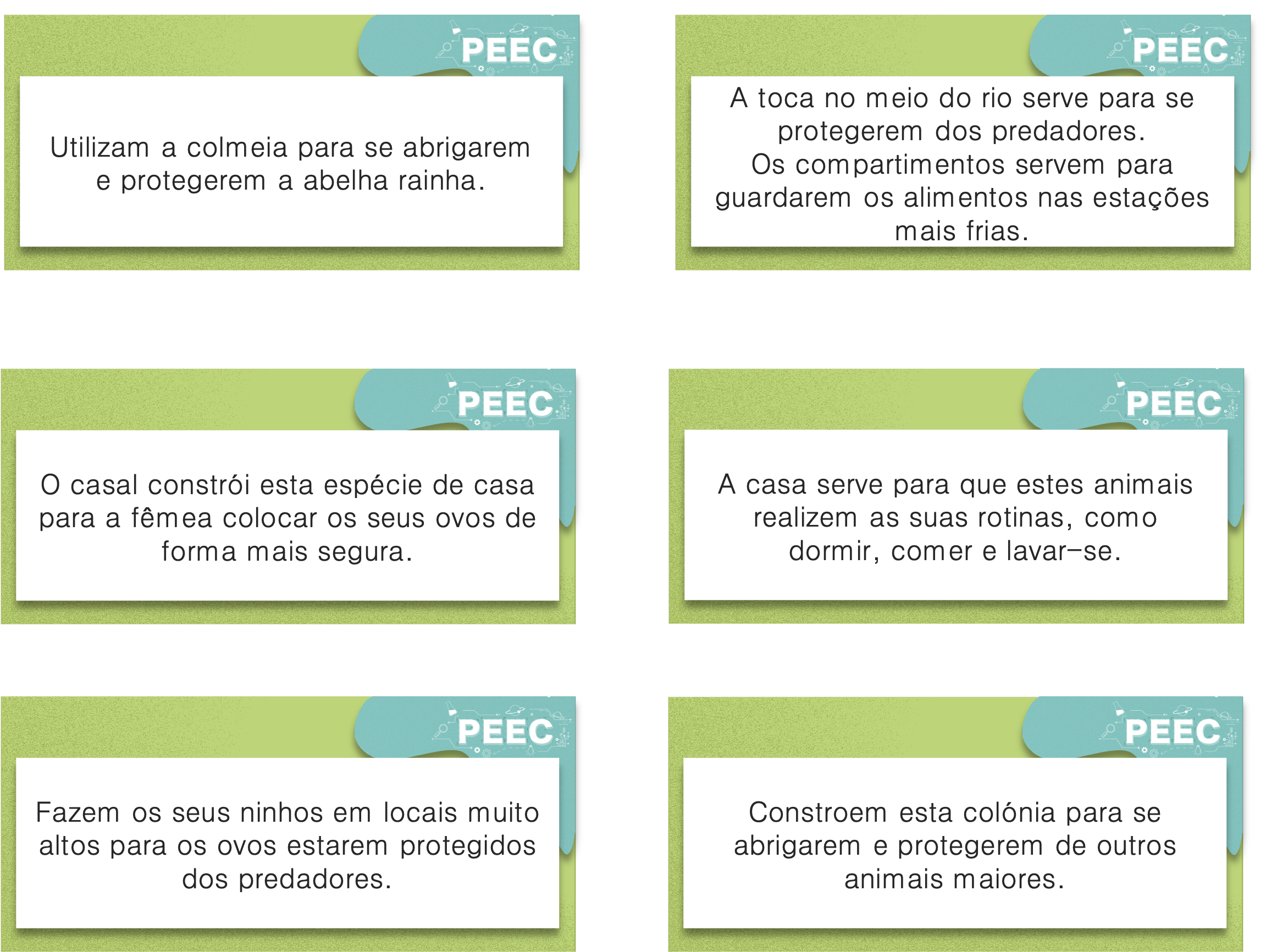 imagem das bases da atividade