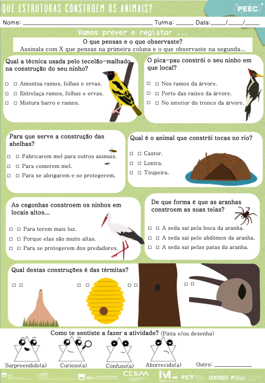 imagem das cartas e caixas da atividade