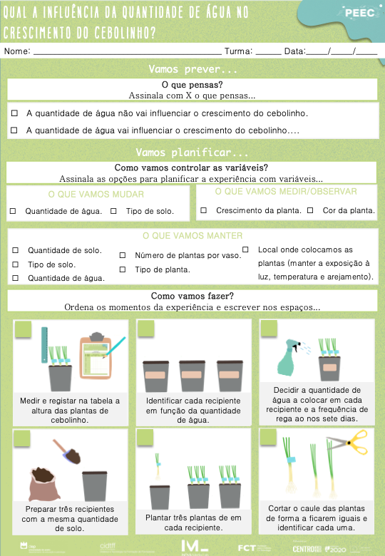 imagem das bases da atividade