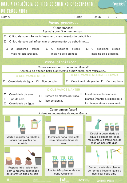 imagem das bases da atividade