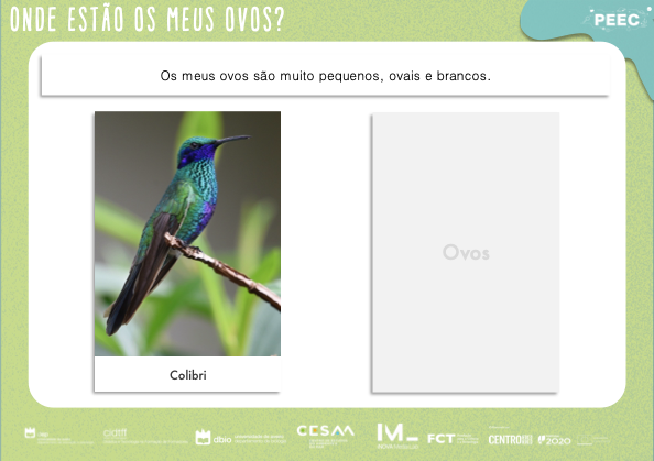 imagem das bases da atividade