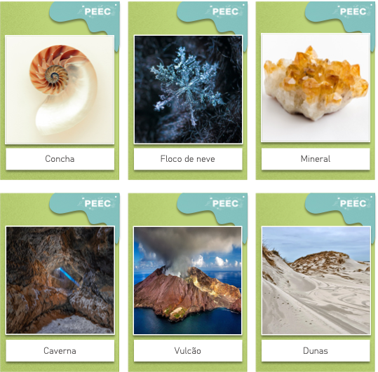 imagem das cartas e caixas da atividade