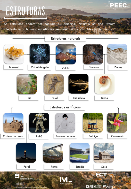 imagem das cartas e caixas da atividade