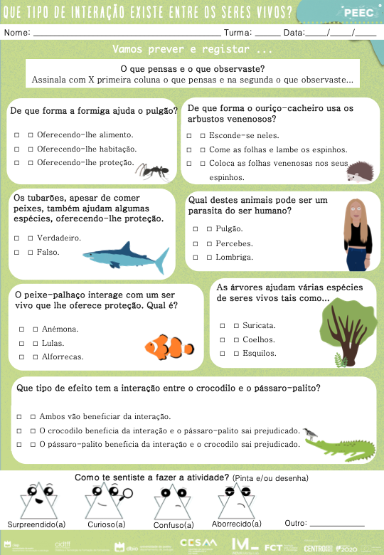 imagem das cartas e caixas da atividade