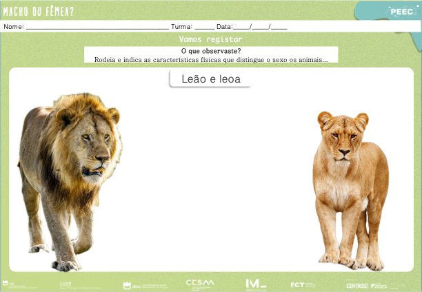 imagem das cartas e caixas da atividade