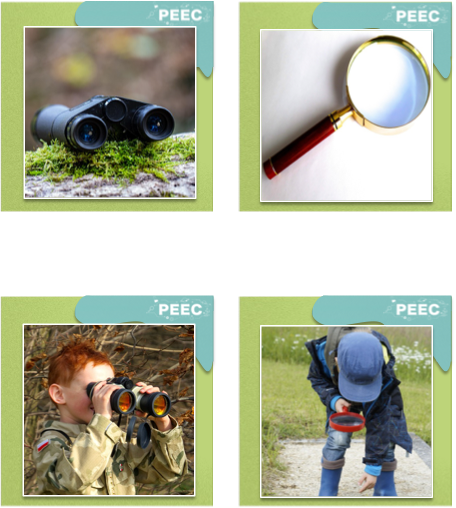 imagem das cartas e caixas da atividade