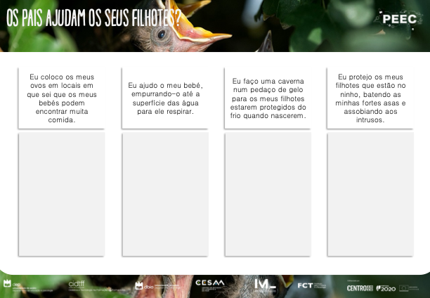 imagem das bases da atividade