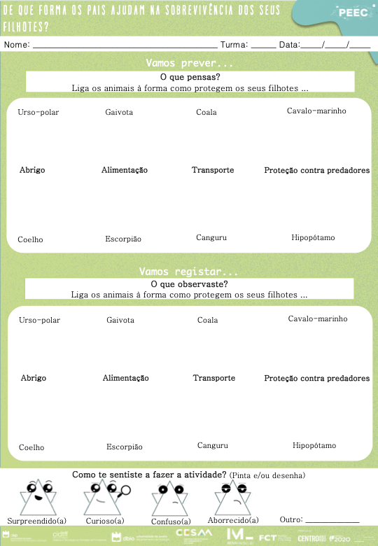 imagem das cartas e caixas da atividade