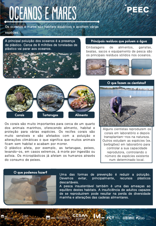 imagem das bases da atividade