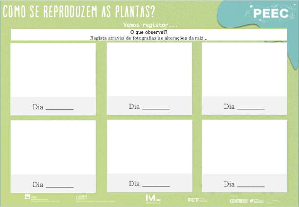 imagem das cartas e caixas da atividade