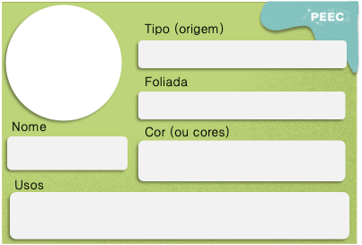 imagem das cartas e caixas da atividade