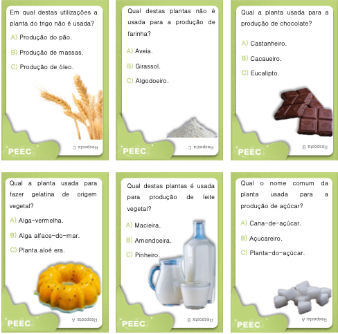 imagem das bases da atividade