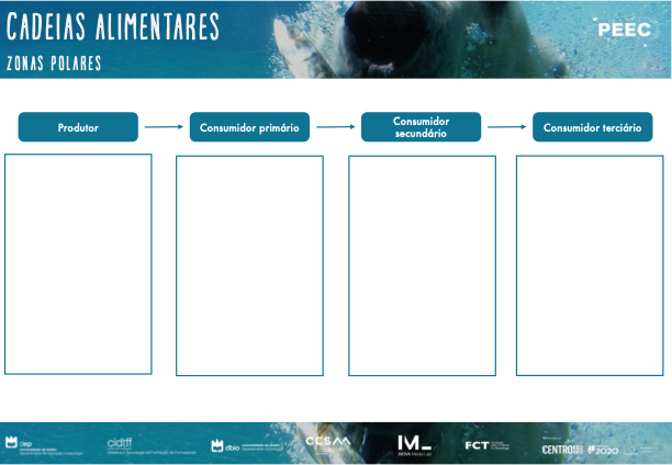 imagem das cartas e caixas da atividade