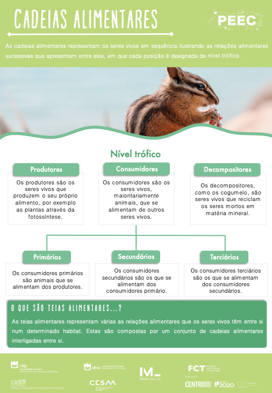 imagem das cartas e caixas da atividade