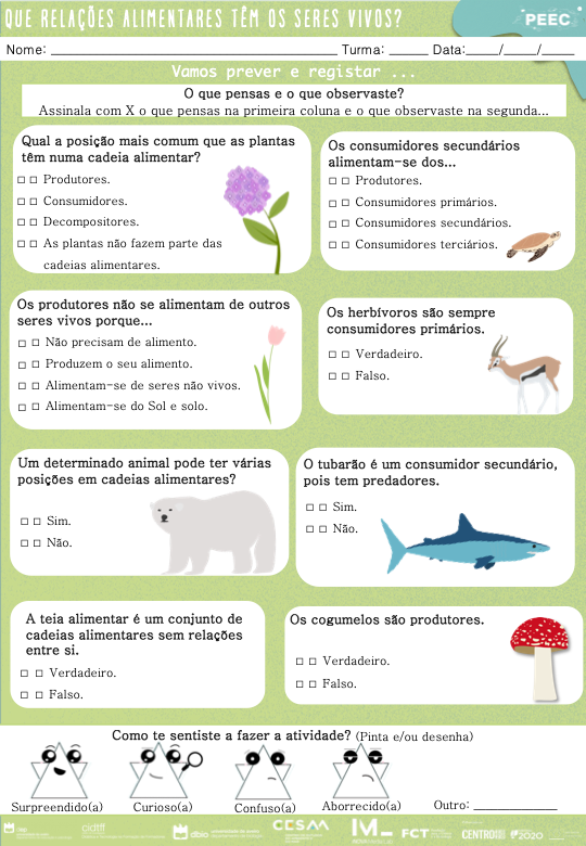 imagem das cartas e caixas da atividade