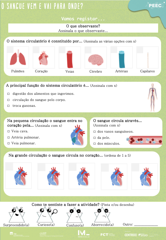 imagem das cartas e caixas da atividade