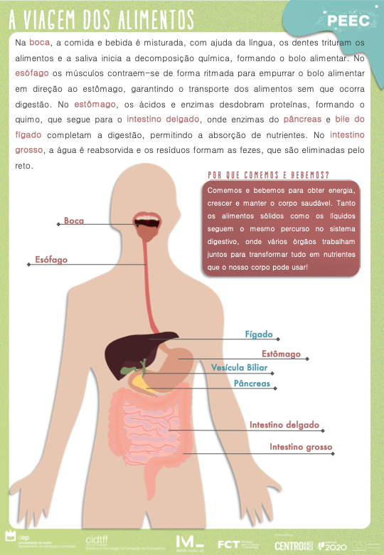 imagem das cartas e caixas da atividade