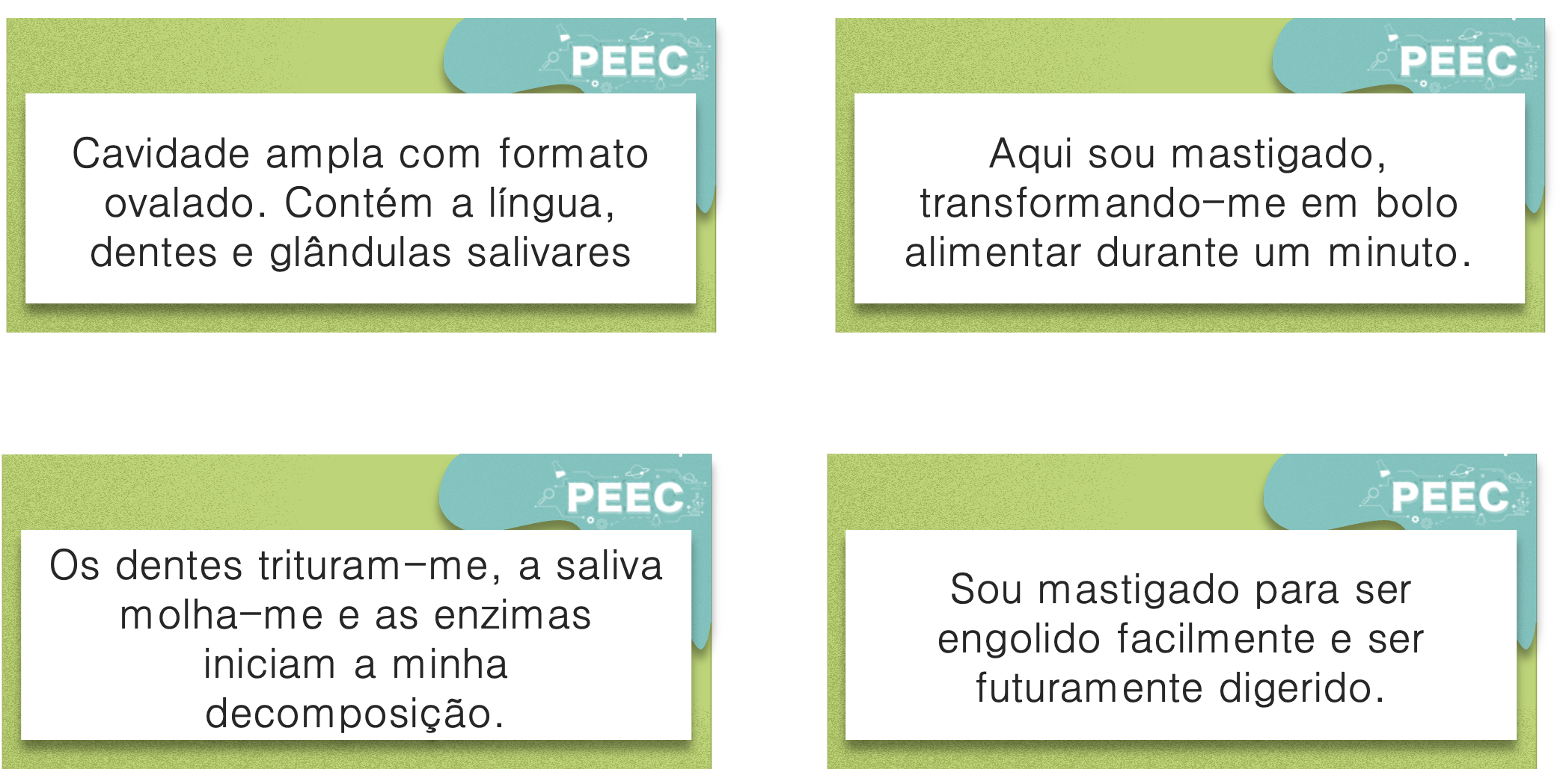 imagem das cartas e caixas da atividade