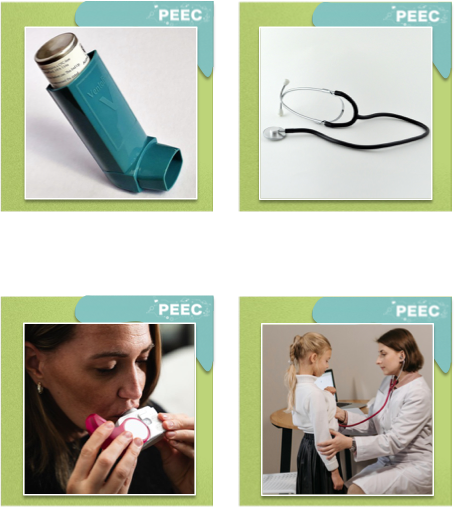 imagem das cartas e caixas da atividade