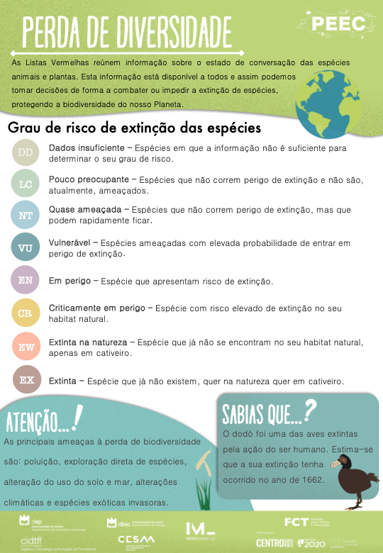 imagem das cartas e caixas da atividade