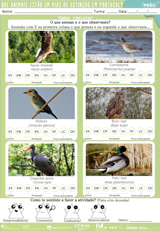 imagem das cartas e caixas da atividade