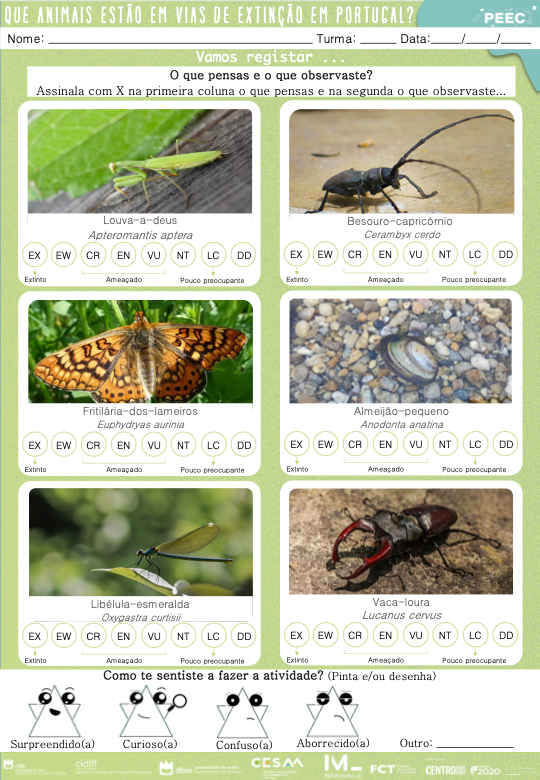 imagem das cartas e caixas da atividade