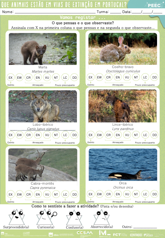 imagem das cartas e caixas da atividade