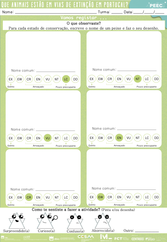 imagem das cartas e caixas da atividade