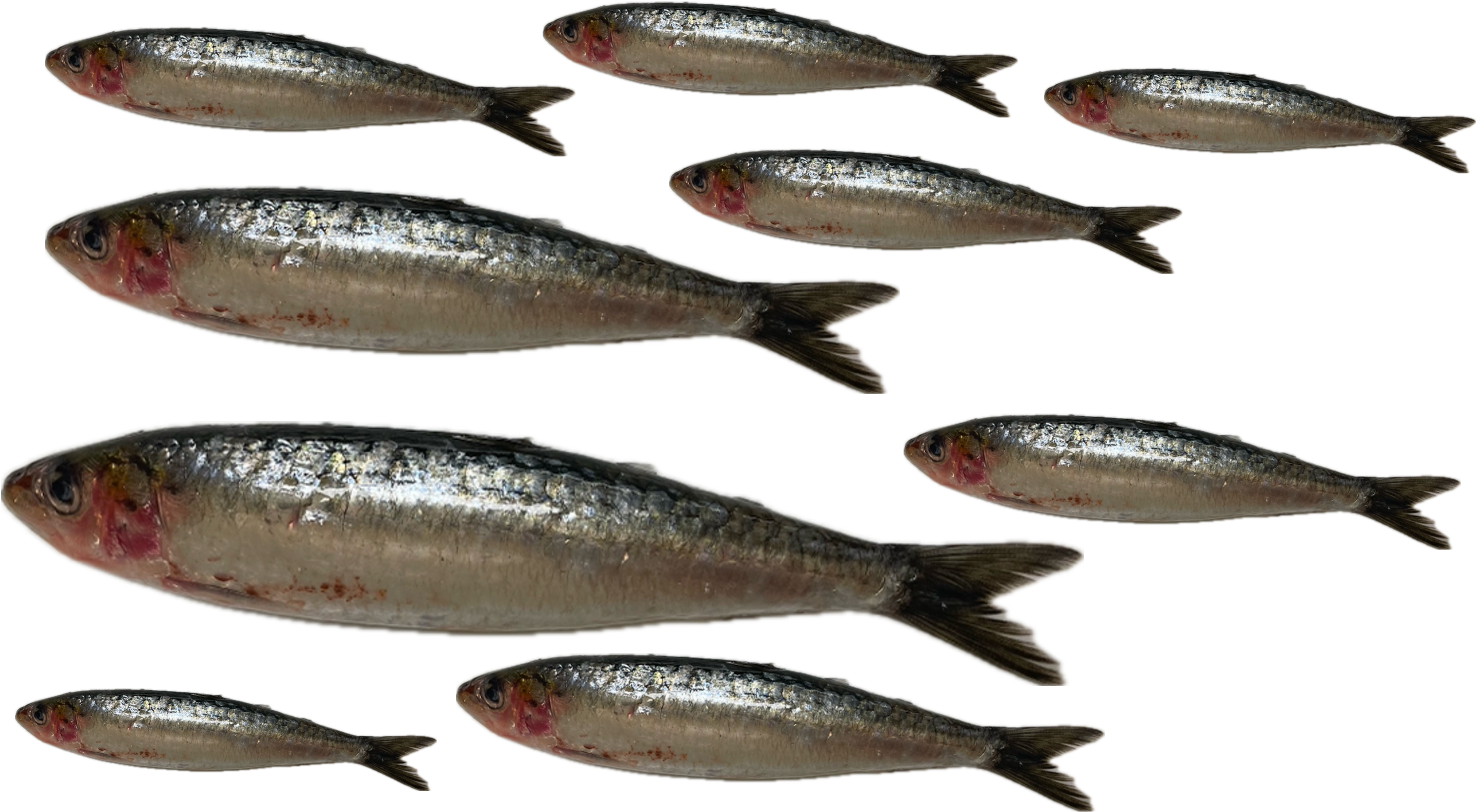 imagem das cartas e caixas da atividade