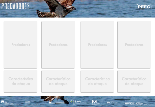 imagem das cartas e caixas da atividade
