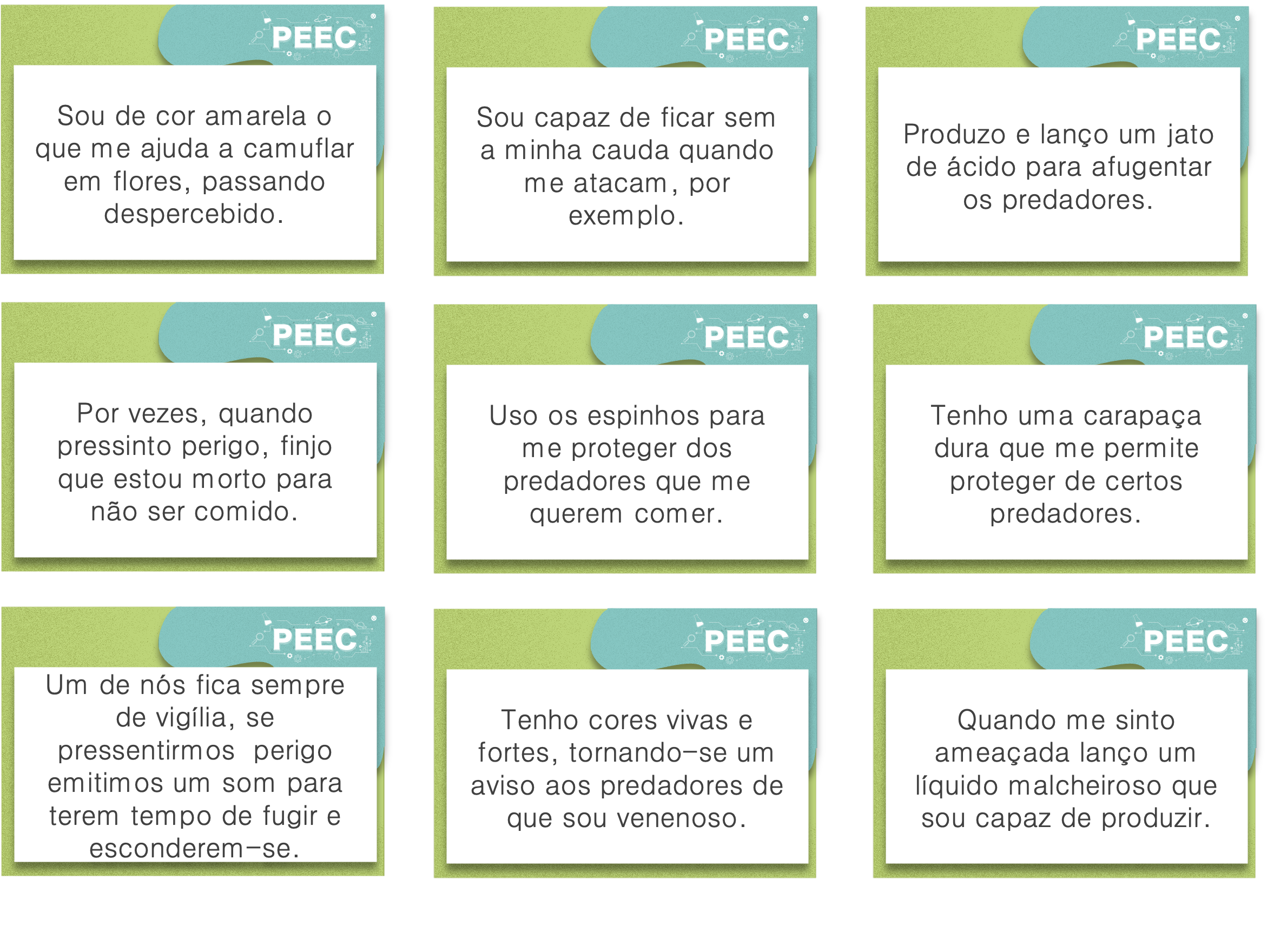 imagem das cartas e caixas da atividade