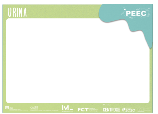 imagem das cartas e caixas da atividade