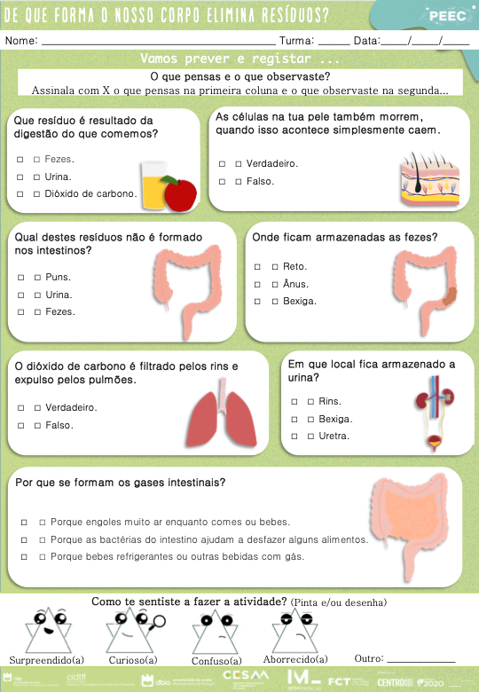 imagem das cartas e caixas da atividade