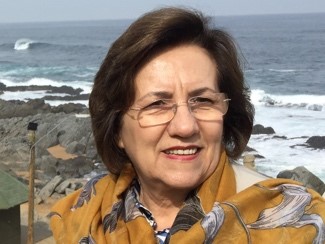 Foto da investigadora Isabel P. Martins