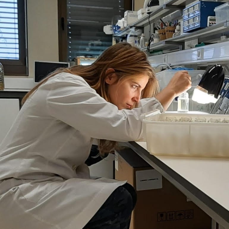 foto do investigador Marta Silva