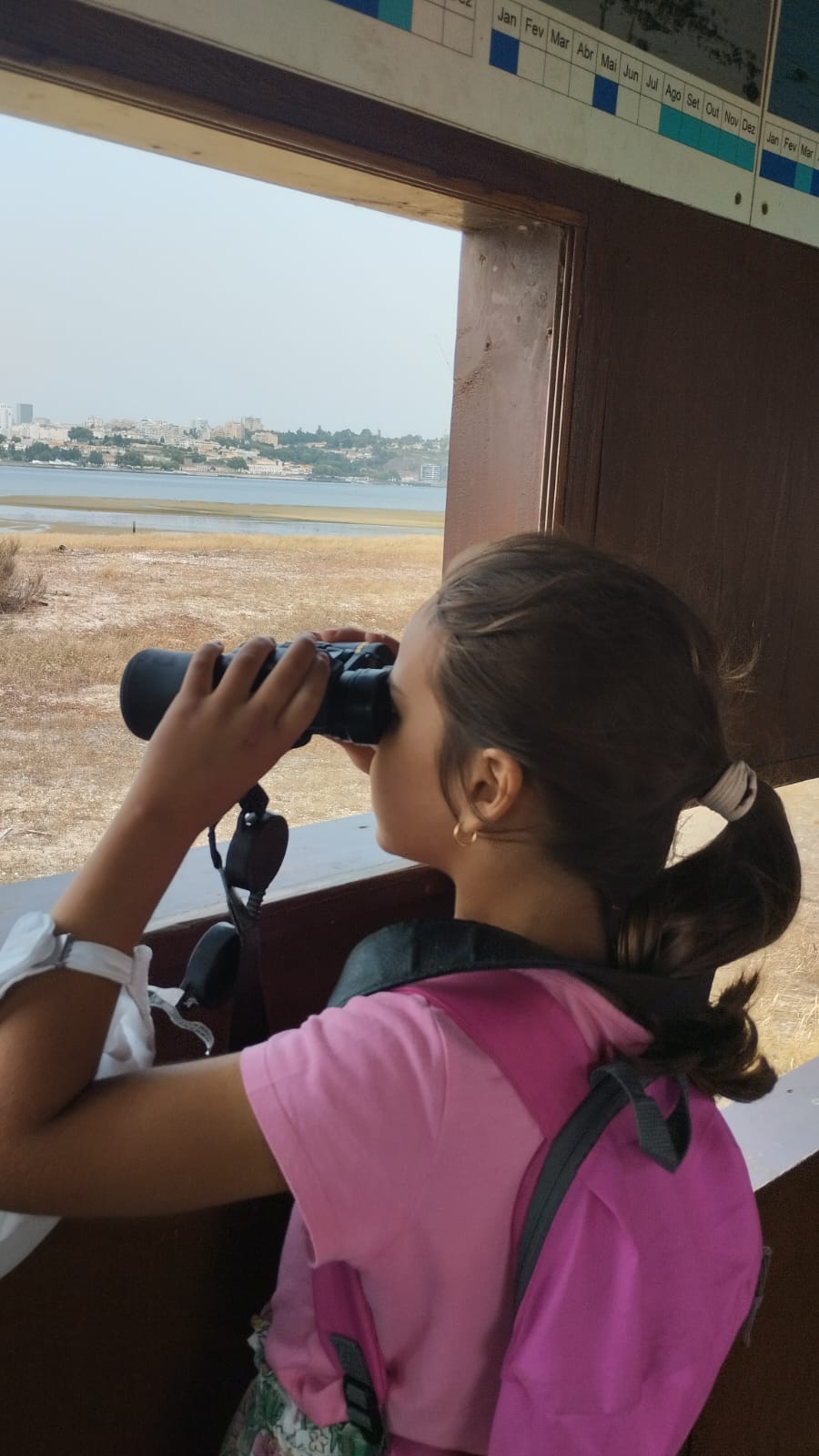 foto da Mariana Gonçalves